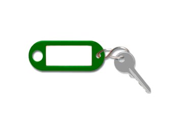Schlüsselanh. m. Loch / S-Haken / VE: 100 / grün