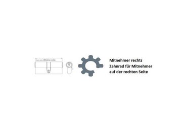Swiss Sector / Zahnrad QL100+ VdS / Rechts / Stahl